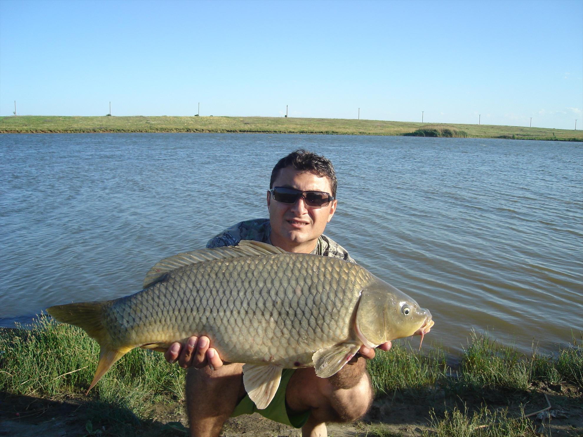 Hobaia - dsc02078.JPG